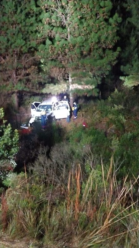 Família despenca 30 metros após carro bater em grupo de capivaras