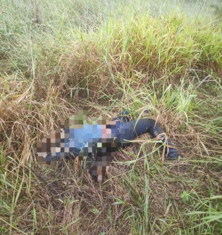 Corpo encontrado no mato em Santa Catarina pode ser de sergipano desaparecido há duas semanas