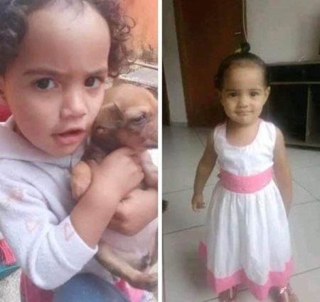 Menina Isabela raptada em semáforo de São Paulo é localizada pela polícia