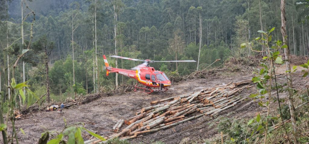 Trabalhador rural é atingido por árvore e Arcanjo de Blumenau é acionado