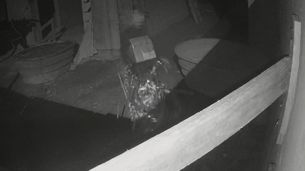 Dupla invade obra no litoral de SC e faz “a limpa”