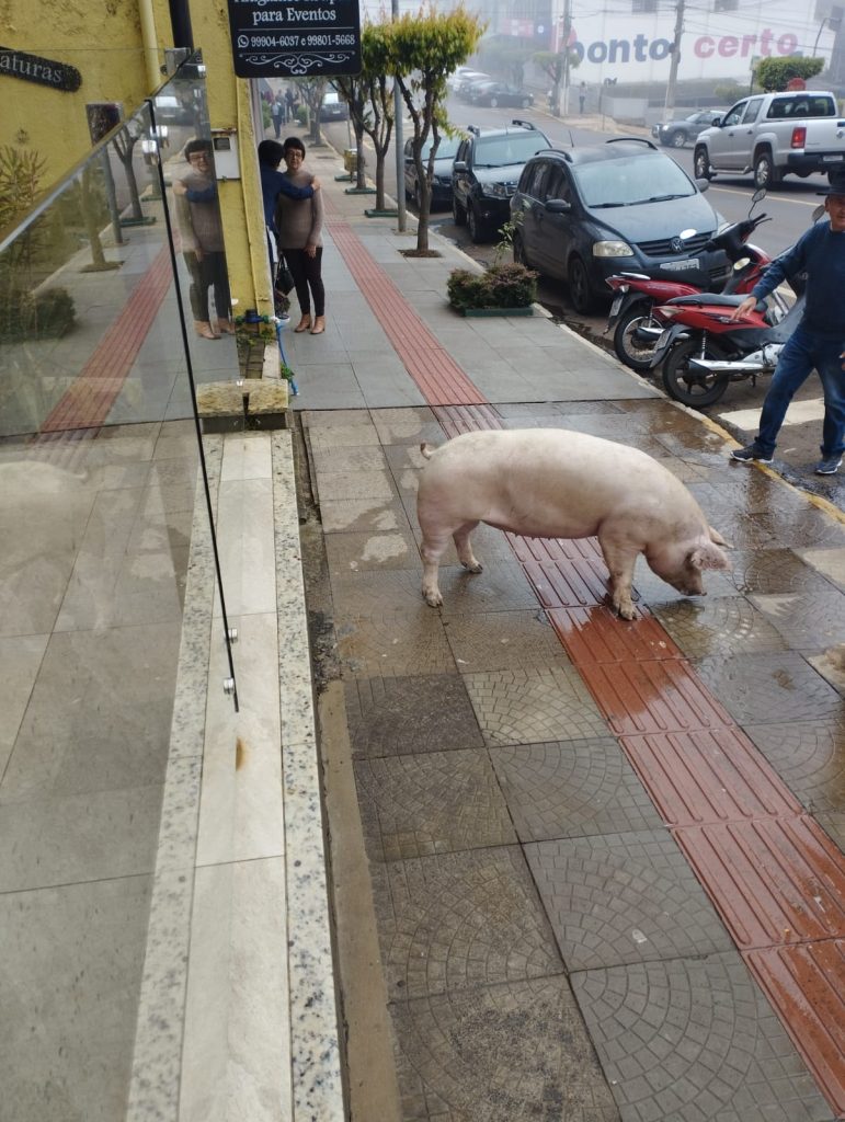 VÍDEO – Dona ‘Pepa’ sai às compras em Santa Catarina e viraliza na internet