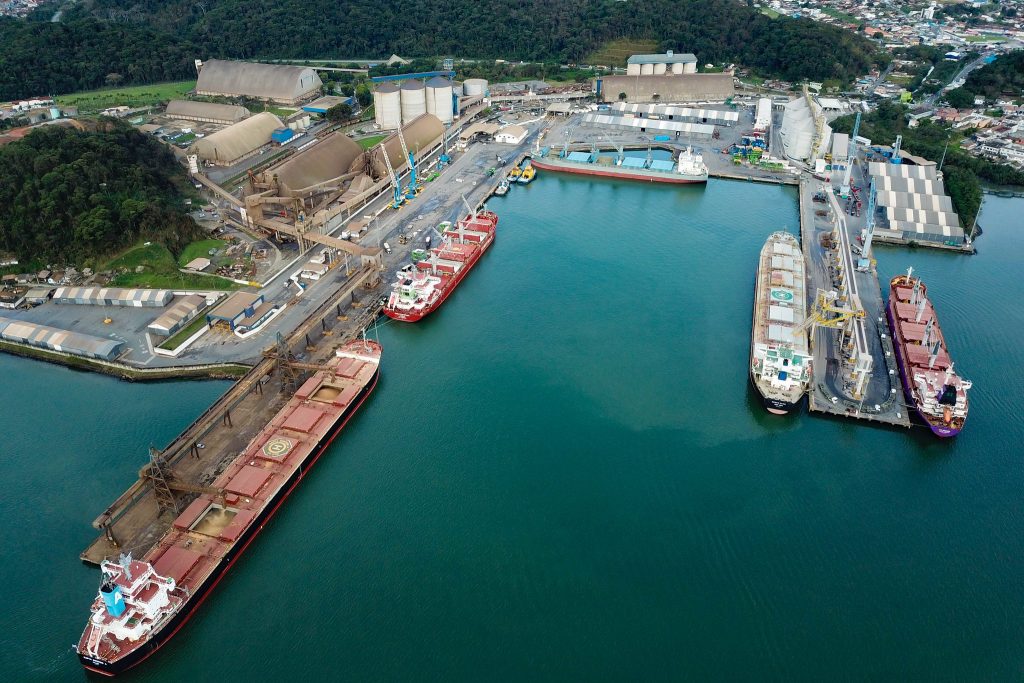 Exportação catarinense de carne suína bate recorde em agosto