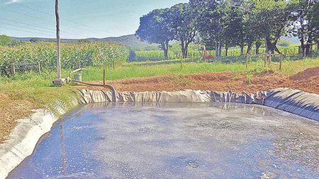Em Santa Catarina menina de um ano morre ao cair em ‘esterqueira’