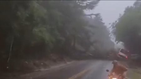 VÍDEO – Deslizamento de terra atinge ônibus e caminhão na SC-350 em Alfredo Wagner