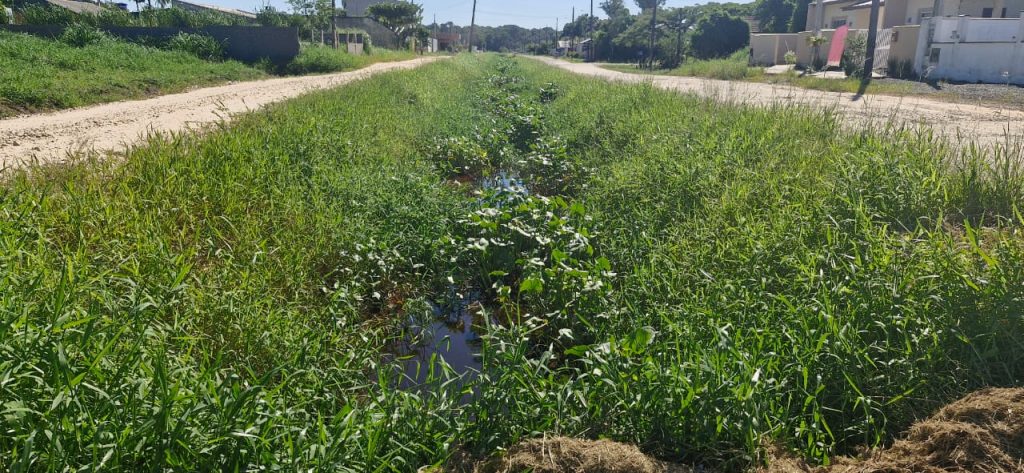 CIDADE DAS VALAS – Barra Velha decreta situação de emergência, casos de dengue aumentam e quantidade de testes é insuficiente