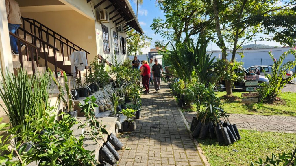 Secretaria de Agricultura de Barra Velha entrega mudas frutíferas e ornamentais