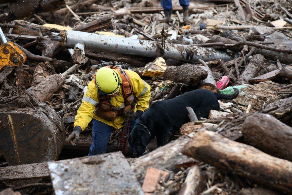 Bombeiro de SC finaliza operação no RS com resgate de mais de 3 mil pessoas e 560 animais