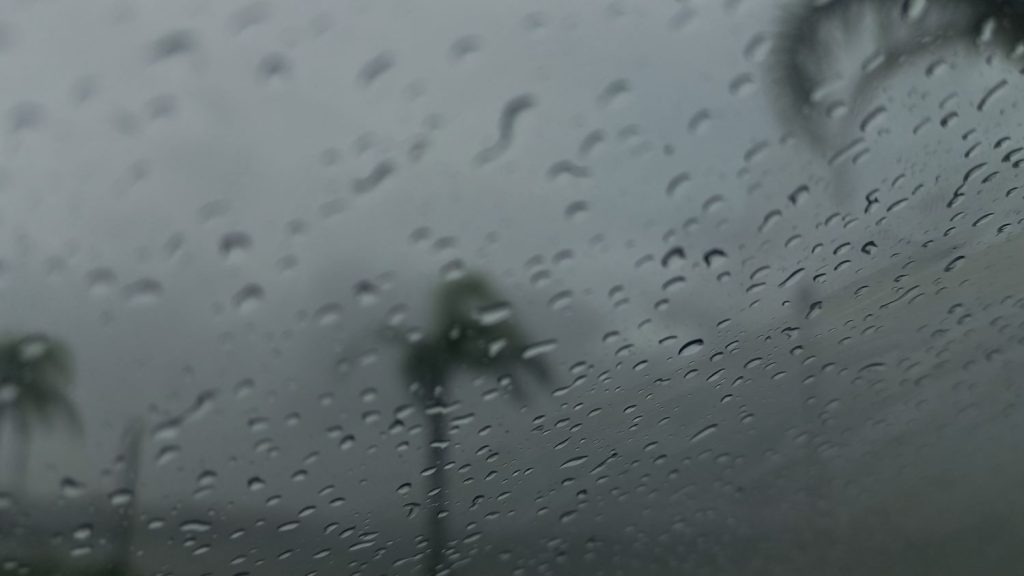 Santa Catarina registra primeira ocorrência de chuva preta