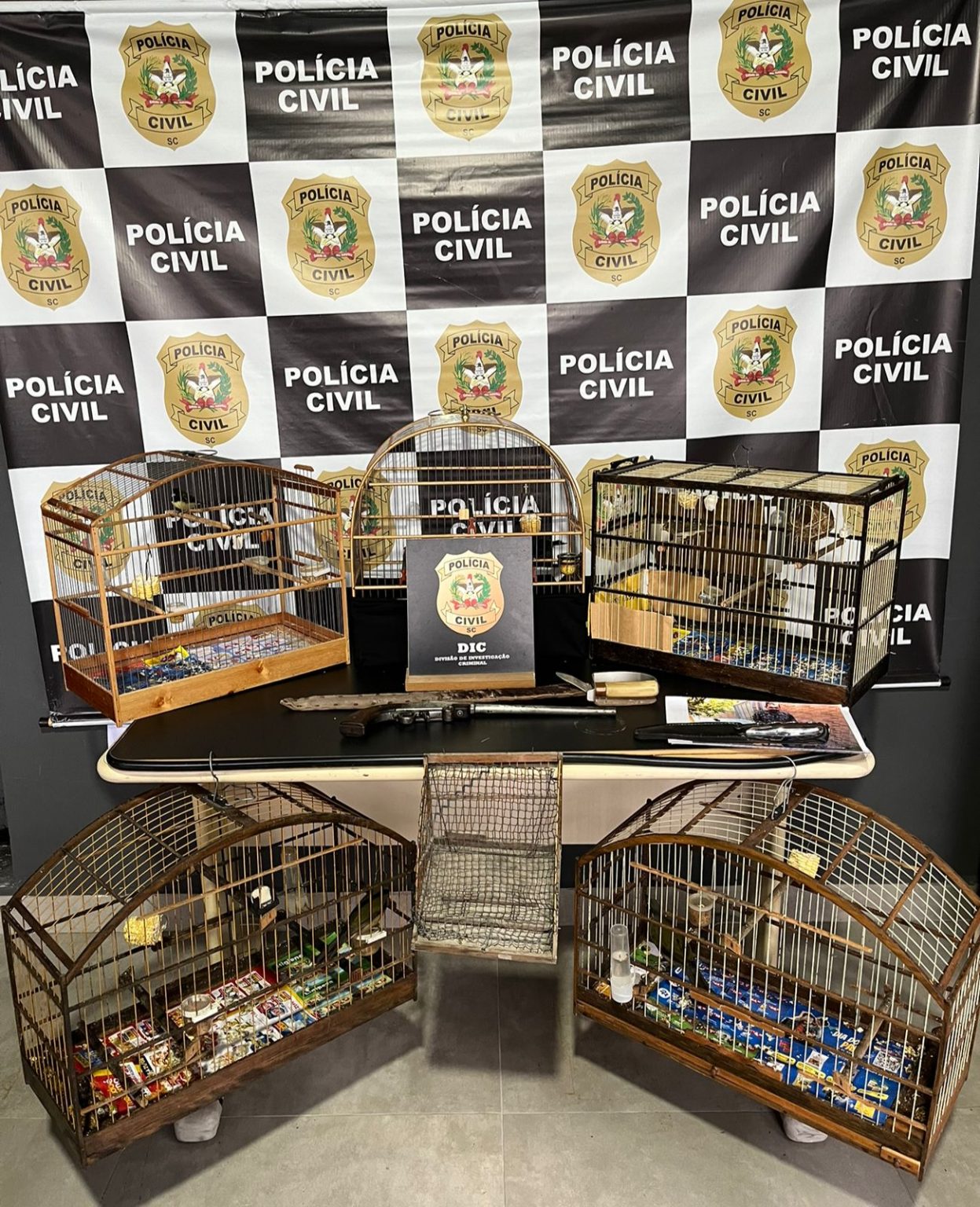 Idoso é preso em Santa Catarina suspeito de crime contra a fauna: aves e uma garrucha apreendidas