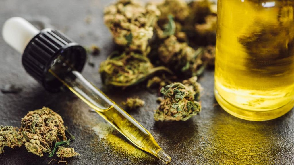 STJ autoriza o plantio e a importação de cannabis para fins medicinais no Brasil