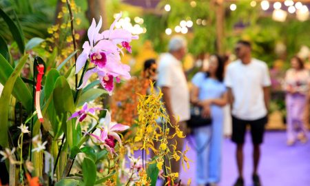 Festa das Flores segue até domingo, 17, em SC