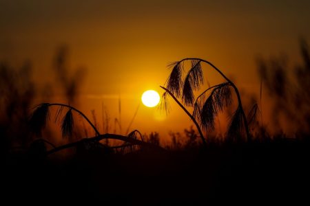 Temperaturas e chuva dentro da média, com alerta para calor intenso e temporais marcam verão em SC