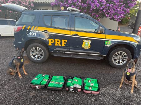 PRF apreende drogas e captura foragido da Justiça em Santa Catarina