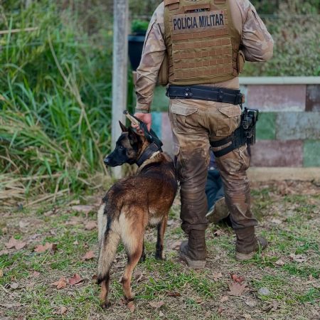 Suspeitos de série de furtos no Paraná são presos em SC após perseguição e cerco policial