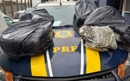 Traficante é preso com quase 50 quilos de skunk na BR-101