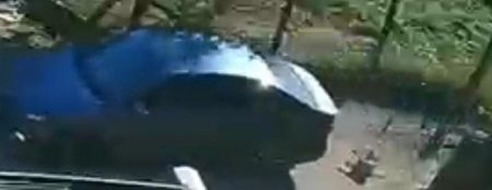 Vídeo mostra suspeito atropelando cachorro ‘de propósito’ em Santa Catarina