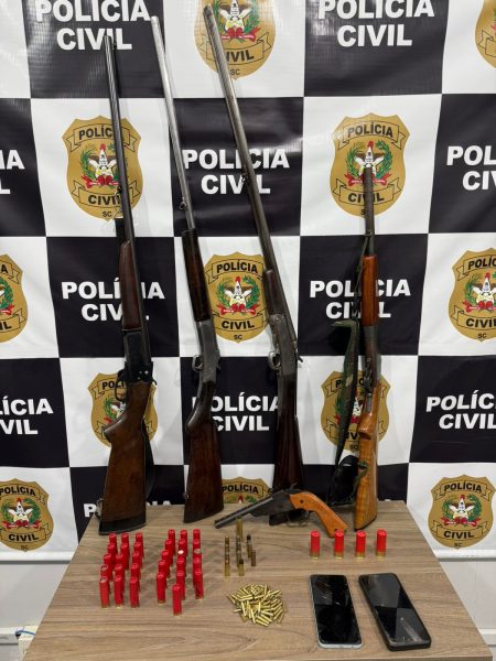 Polícia Civil prende dois homens por posse ilegal de armas de fogo