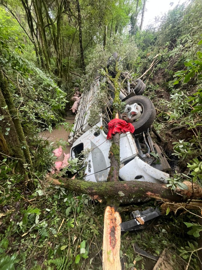 Motorista perde controle e caminhão desce barranco