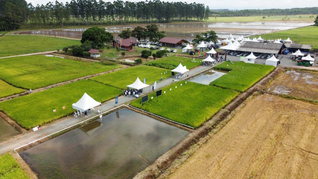 São João do Itaperiú sedia a 8ª Abertura da Colheita do Arroz de Santa Catarina