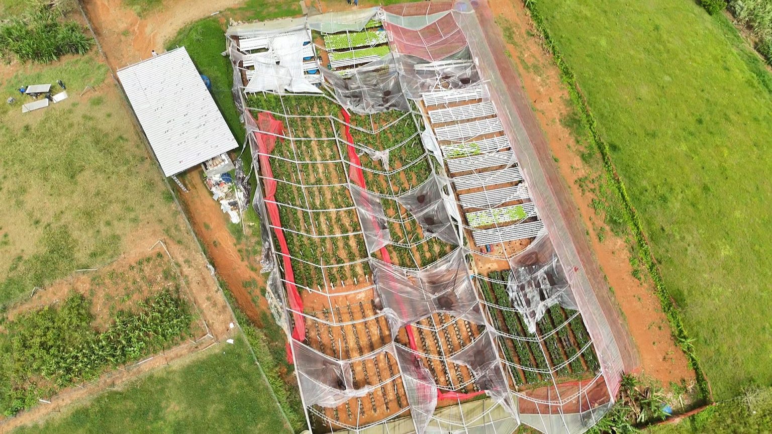 Vendaval causa prejuízos de quase R$ 10 milhões e Prefeitura de São João do Itaperiú articula soluções com produtores e instituições financeiras
