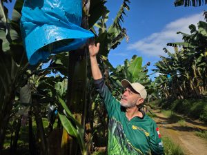 VÍDEO: Do campo à política -A luta diária do vereador Dorival Duarte pela valorização do agro em São João do Itaperiú
