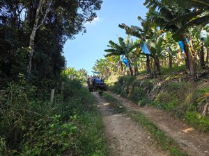 São João do Itaperiú e Associação dos Bananicultores firmam parceria para fortalecimento do setor agrícola